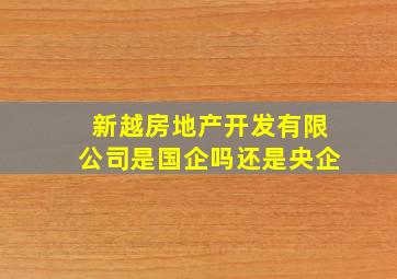 新越房地产开发有限公司是国企吗还是央企