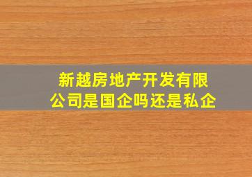 新越房地产开发有限公司是国企吗还是私企