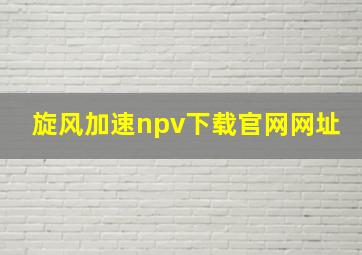 旋风加速npv下载官网网址