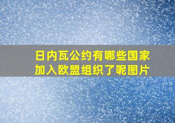 日内瓦公约有哪些国家加入欧盟组织了呢图片