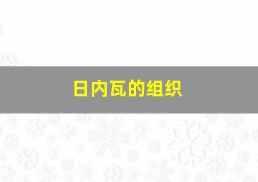 日内瓦的组织