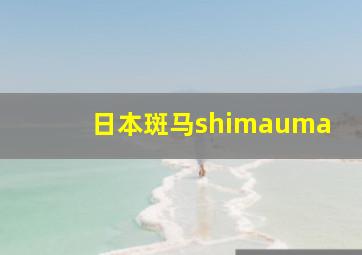 日本斑马shimauma