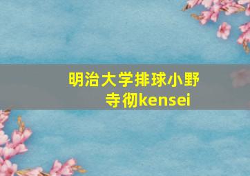 明治大学排球小野寺彻kensei