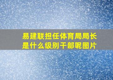 易建联担任体育局局长是什么级别干部呢图片