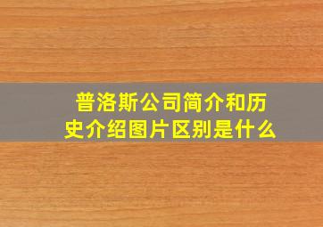 普洛斯公司简介和历史介绍图片区别是什么