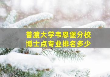 普渡大学韦恩堡分校博士点专业排名多少