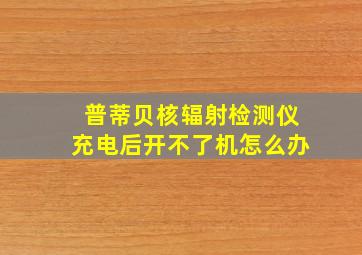 普蒂贝核辐射检测仪充电后开不了机怎么办