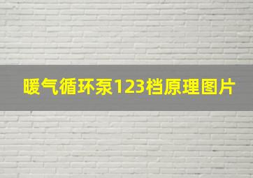 暖气循环泵123档原理图片