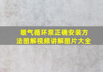 暖气循环泵正确安装方法图解视频讲解图片大全