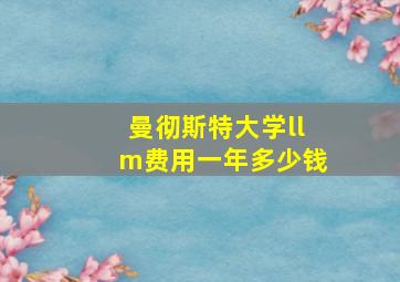 曼彻斯特大学llm费用一年多少钱