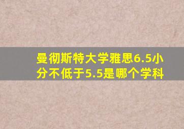 曼彻斯特大学雅思6.5小分不低于5.5是哪个学科