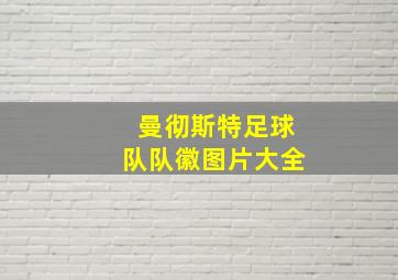 曼彻斯特足球队队徽图片大全