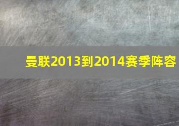 曼联2013到2014赛季阵容