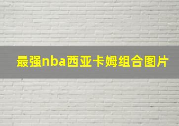 最强nba西亚卡姆组合图片