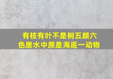 有枝有叶不是树五颜六色居水中原是海底一动物