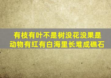 有枝有叶不是树没花没果是动物有红有白海里长堆成礁石