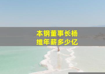 本钢董事长杨维年薪多少亿