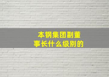 本钢集团副董事长什么级别的