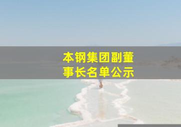 本钢集团副董事长名单公示