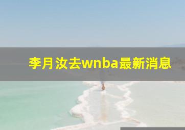 李月汝去wnba最新消息