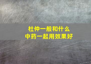 杜仲一般和什么中药一起用效果好