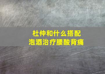 杜仲和什么搭配泡酒治疗腰酸背痛