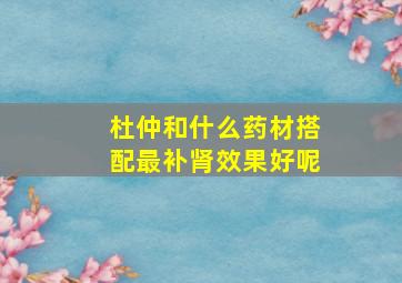 杜仲和什么药材搭配最补肾效果好呢