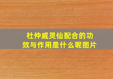 杜仲威灵仙配合的功效与作用是什么呢图片