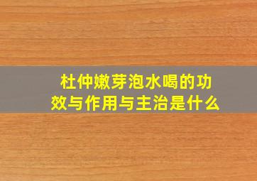 杜仲嫩芽泡水喝的功效与作用与主治是什么