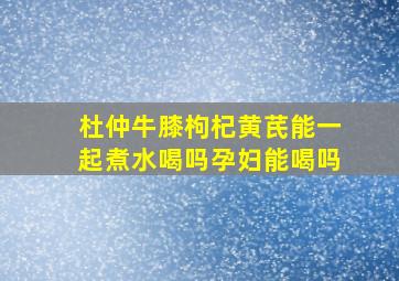 杜仲牛膝枸杞黄芪能一起煮水喝吗孕妇能喝吗