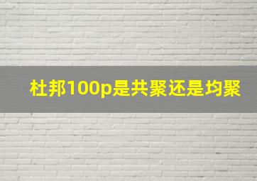 杜邦100p是共聚还是均聚