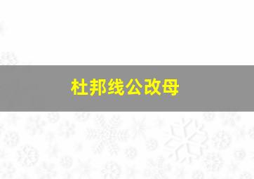 杜邦线公改母