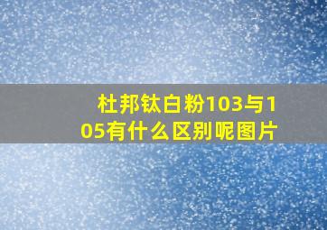 杜邦钛白粉103与105有什么区别呢图片