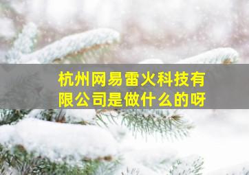 杭州网易雷火科技有限公司是做什么的呀