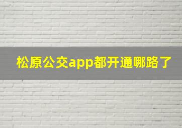 松原公交app都开通哪路了