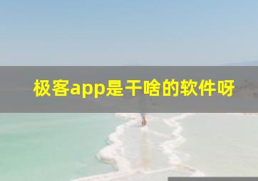 极客app是干啥的软件呀