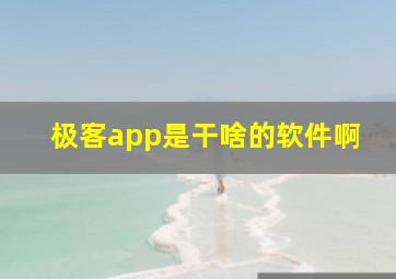 极客app是干啥的软件啊