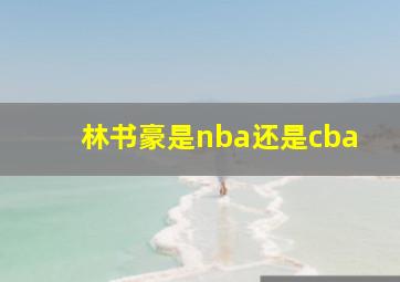 林书豪是nba还是cba