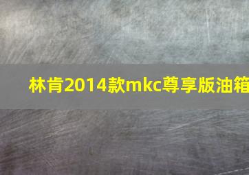 林肯2014款mkc尊享版油箱