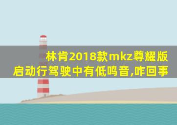 林肯2018款mkz尊耀版启动行驾驶中有低鸣音,咋回事