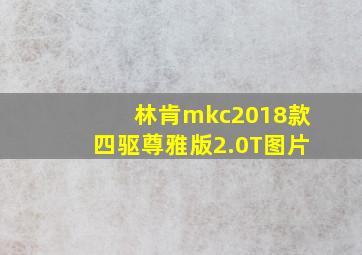 林肯mkc2018款四驱尊雅版2.0T图片