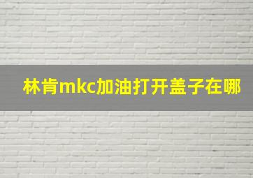 林肯mkc加油打开盖子在哪