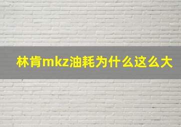 林肯mkz油耗为什么这么大