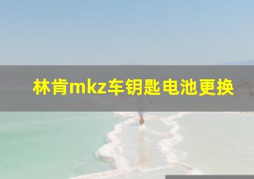 林肯mkz车钥匙电池更换