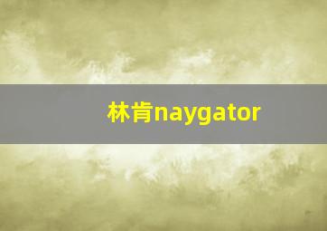 林肯naygator