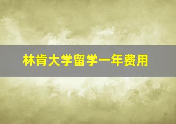 林肯大学留学一年费用