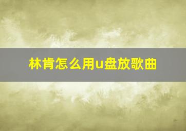 林肯怎么用u盘放歌曲