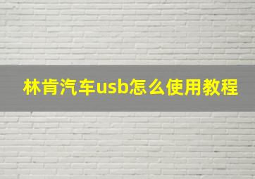 林肯汽车usb怎么使用教程