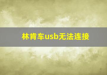 林肯车usb无法连接