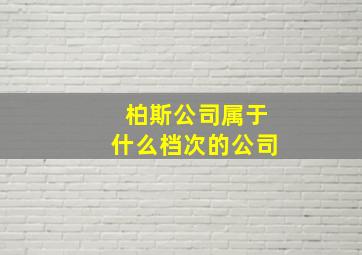 柏斯公司属于什么档次的公司